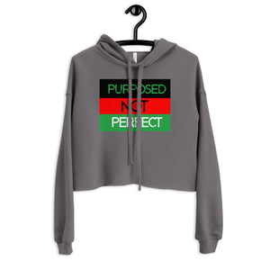 Purposed Not Perfect Crop Hoodie